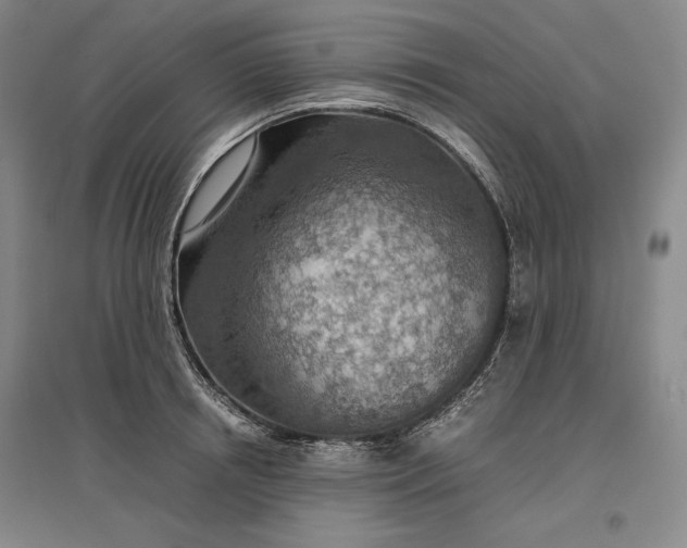 X0000096940850200802221318