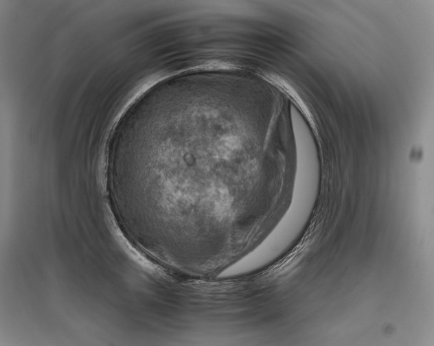 X0000096940851200802221318