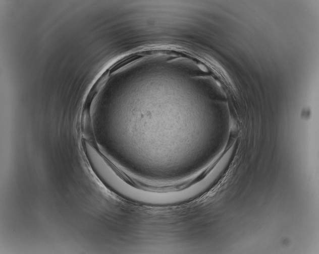 X0000096940852200802221318