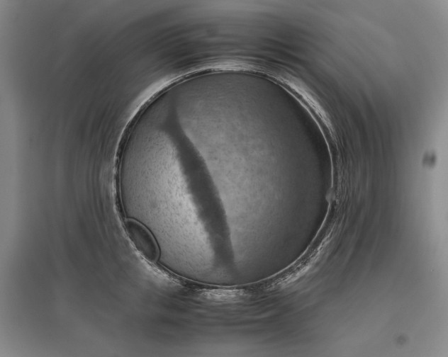 X0000096940853200802221318