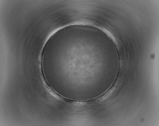 X0000096940854200802221318