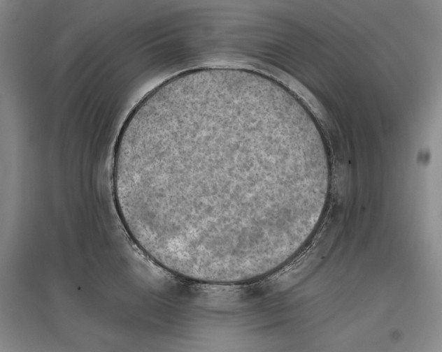 X0000096940856200802221318