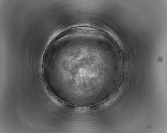 X0000096940858200802221318