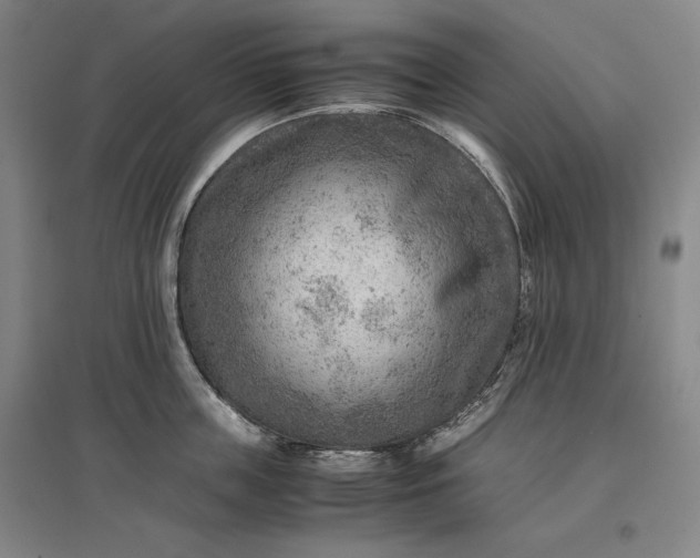 X0000096940859200802221318