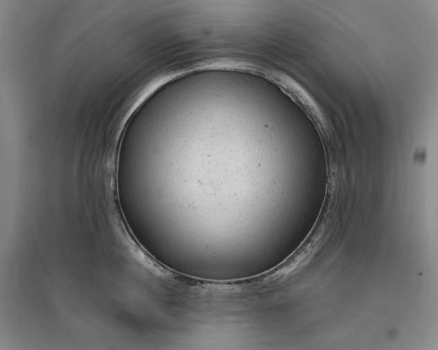 X0000096940860200802221318