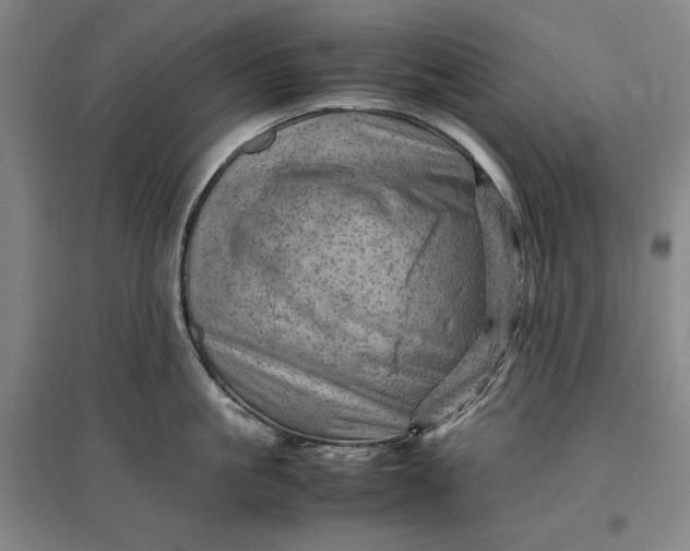 X0000096940861200802221318