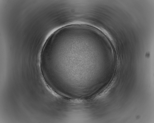 X0000096940862200802221318