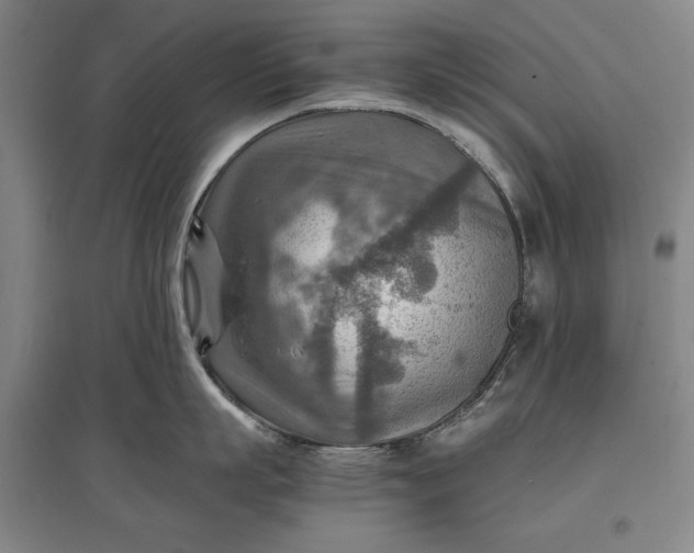 X0000096940863200802221318