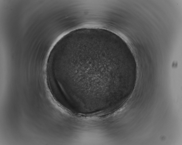 X0000096940864200802221318