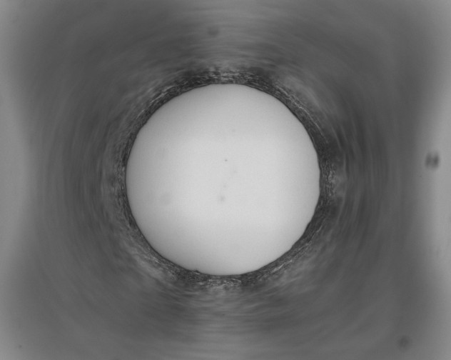 X0000096940865200802221318