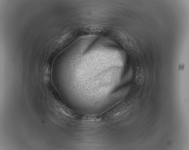 X0000096940866200802221318