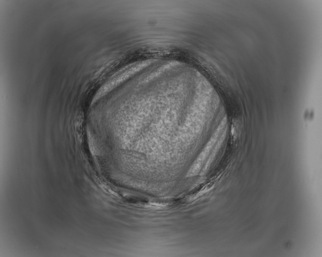 X0000096940867200802221318