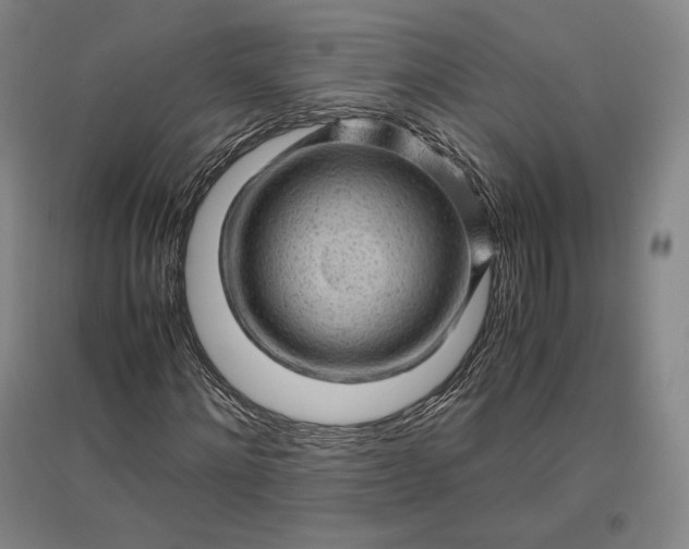 X0000096940868200802221318