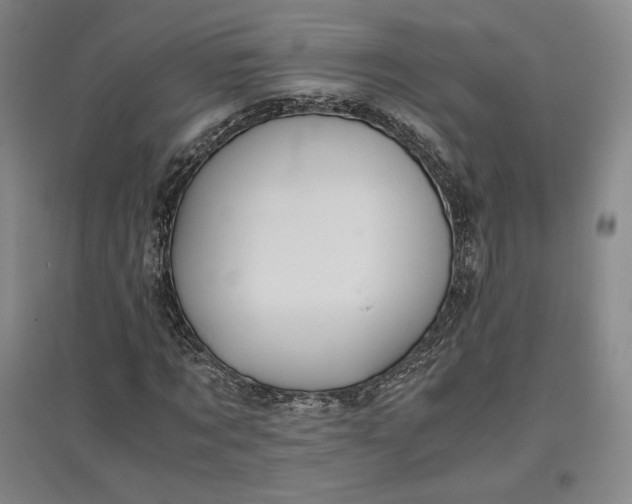 X0000096940869200802221318