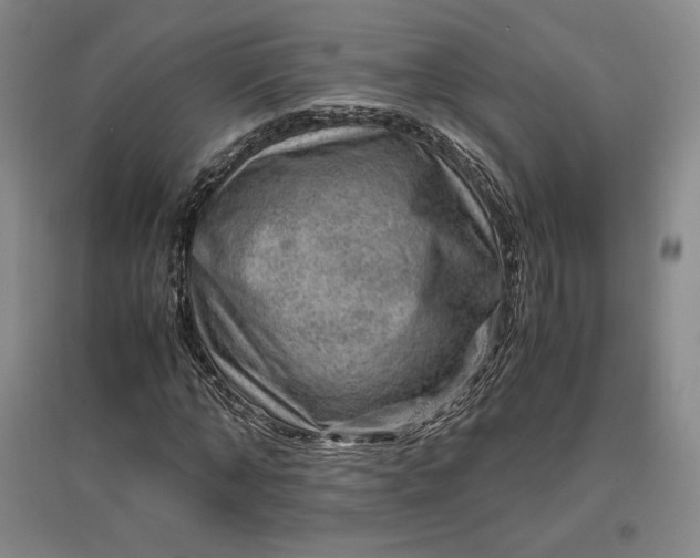 X0000096940870200802221318