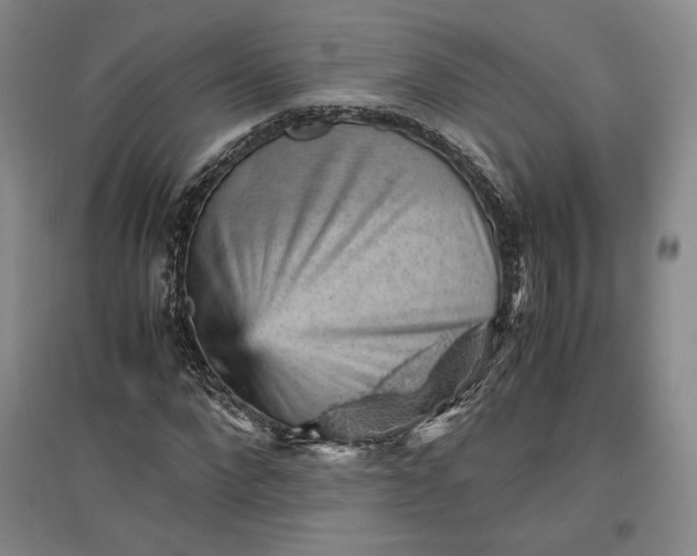 X0000096940872200802221318