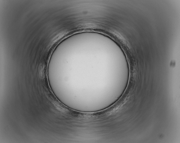 X0000096940873200802221318