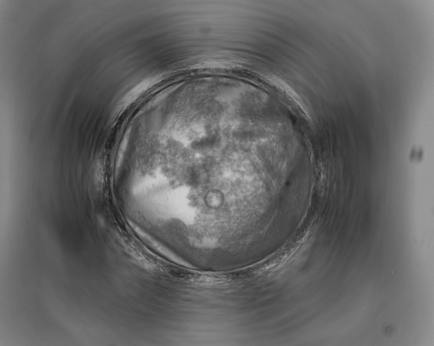 X0000096940874200802221318