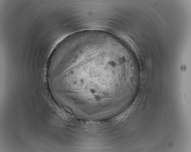 X0000096940875200802221318