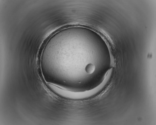 X0000096940876200802221318