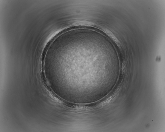 X0000096940877200802221318