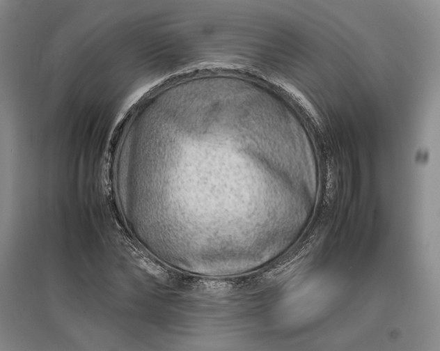 X0000096940878200802221317