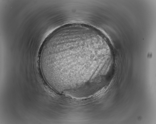 X0000096940879200802221317