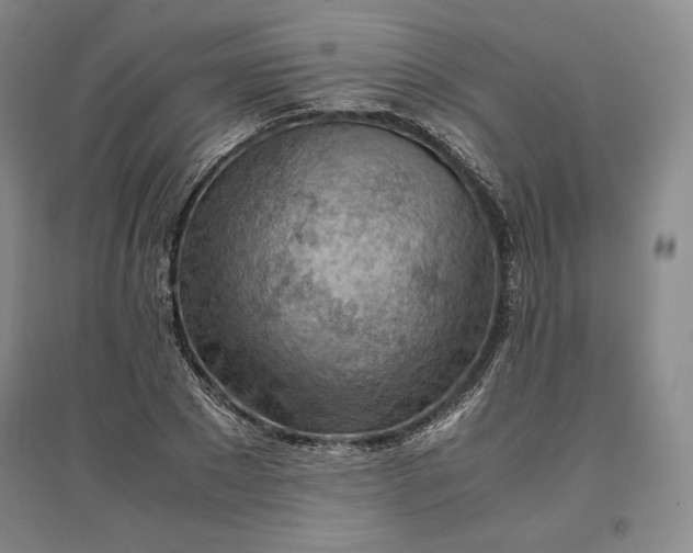 X0000096940881200802221317