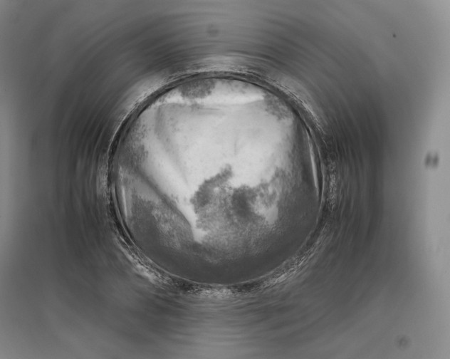 X0000096940882200802221317