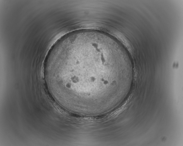 X0000096940883200802221317