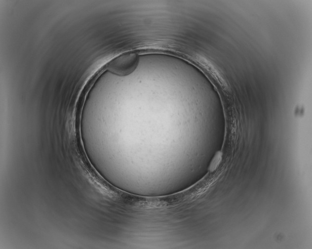 X0000096940884200802221317