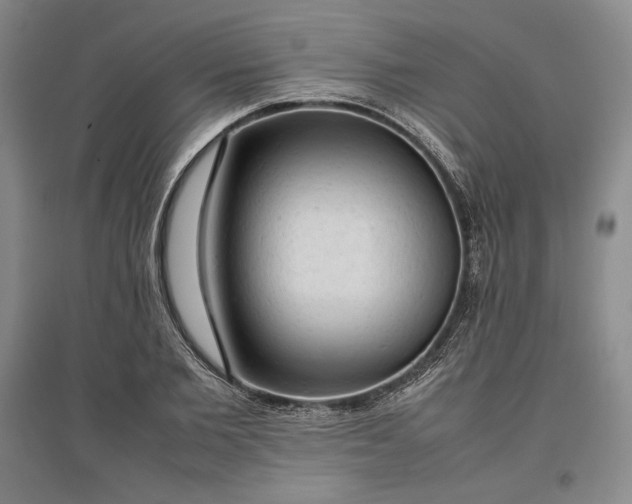 X0000096940885200802221317