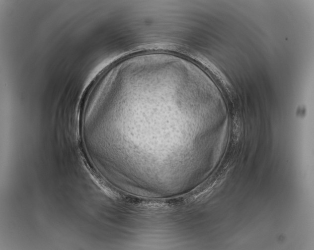 X0000096940886200802221317