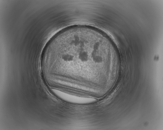 X0000096940887200802221317