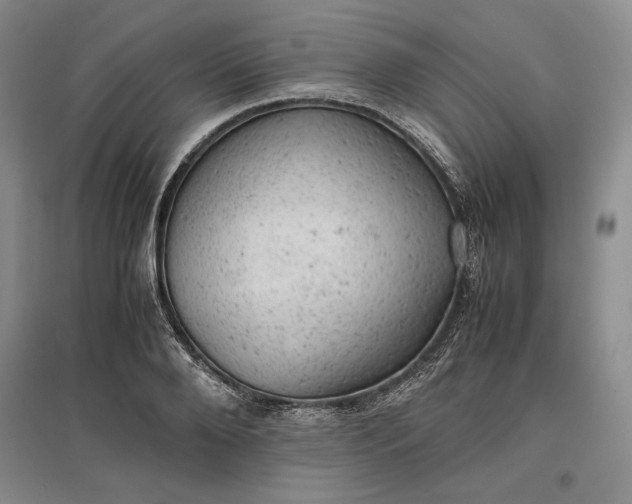 X0000096940888200802221317