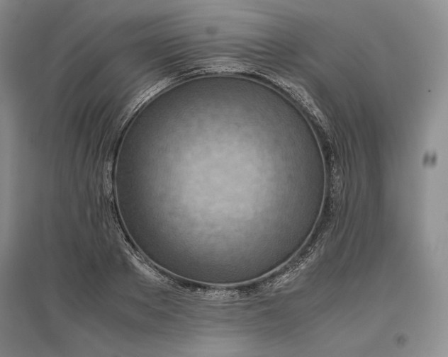 X0000096940889200802221317