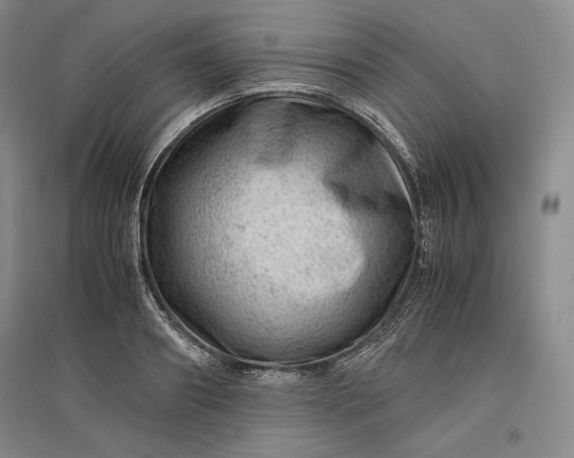 X0000096940890200802221317