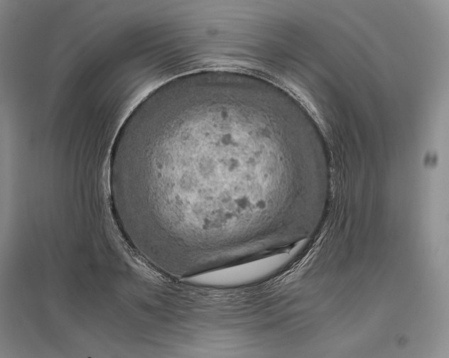 X0000096940891200802221317