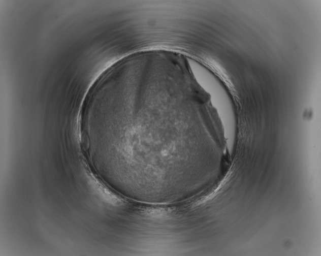 X0000096940892200802221317