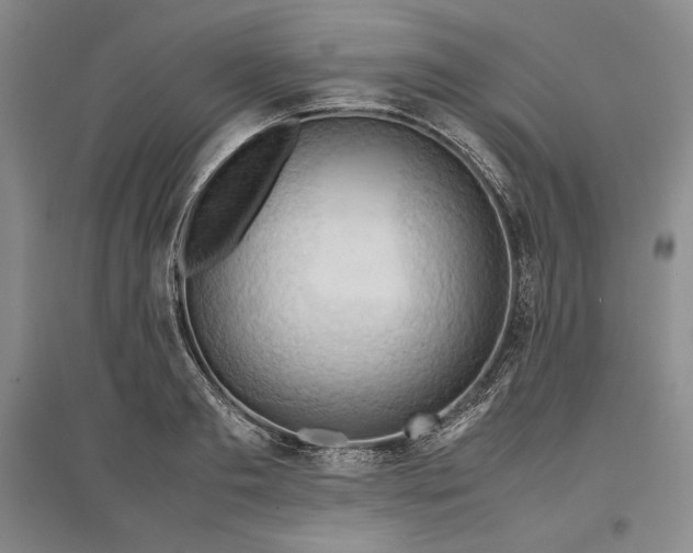 X0000096940893200802221317