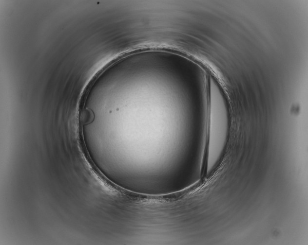 X0000096940894200802221317