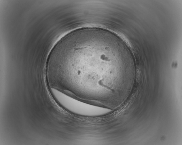 X0000096940895200802221317