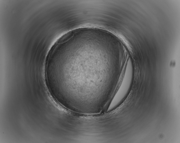 X0000096940896200802221317