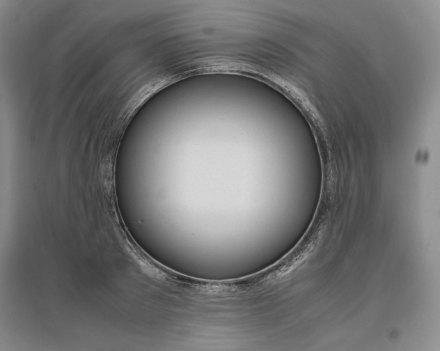 X0000096940897200802221317