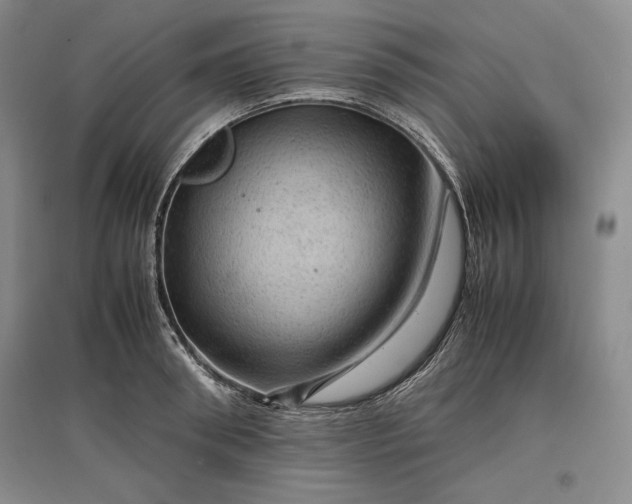 X0000096940898200802221317