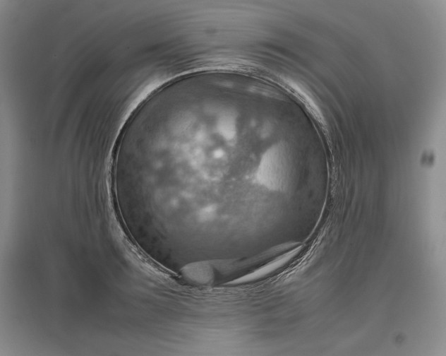 X0000096940899200802221317