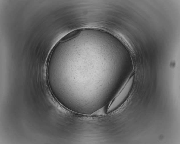 X0000096940900200802221317