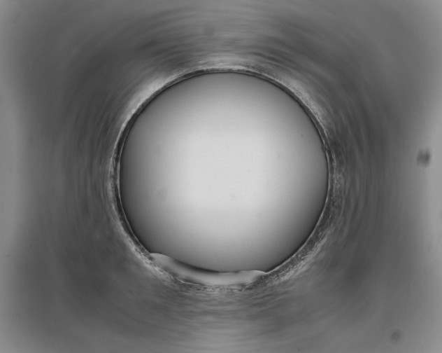 X0000096940901200802221317