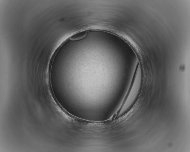 X0000096940902200802221317