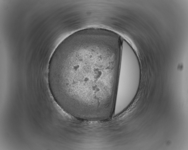 X0000096940903200802221317